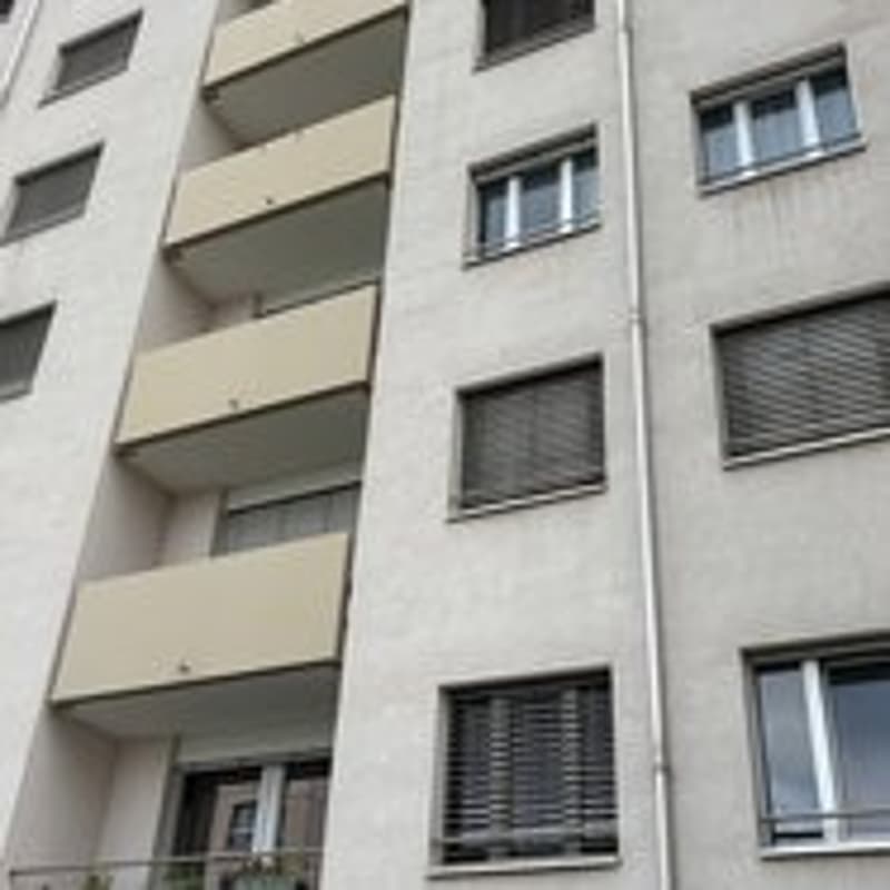 Spacious 4-room apartment with balcony in Geneva (5)
