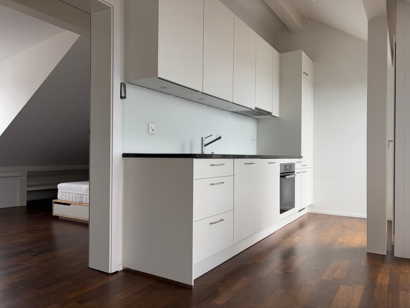 Meraviglioso appartamento in attico moderno con balcone - Sotto la stazione - Vista sul lago e sulla città (1)