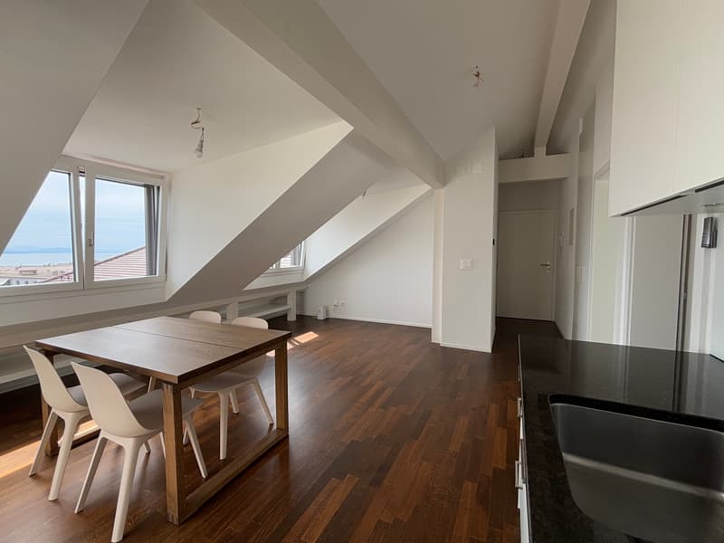 Meraviglioso appartamento in attico moderno con balcone - Sotto la stazione - Vista sul lago e sulla città (6)