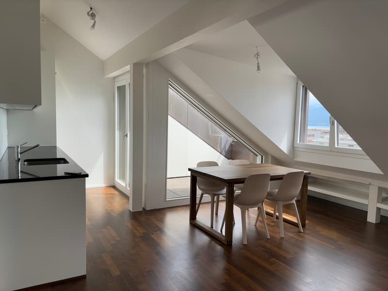 Meraviglioso appartamento in attico moderno con balcone - Sotto la stazione - Vista sul lago e sulla città (5)