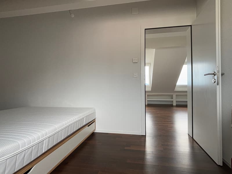 Meraviglioso appartamento in attico moderno con balcone - Sotto la stazione - Vista sul lago e sulla città (9)