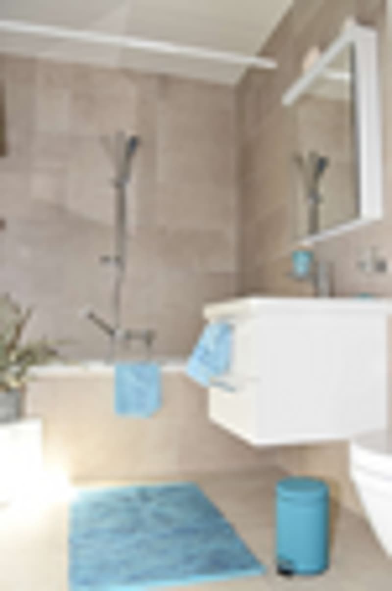 Magnifique appartement sous gare (5)