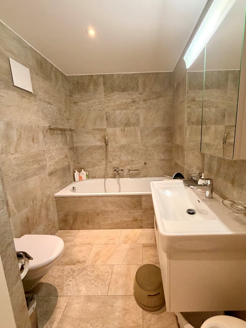 Beautiful duplex apartment (3)