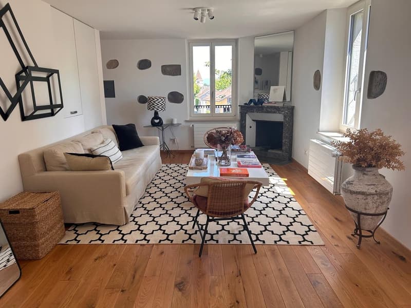 Beau triplex rénové (7)