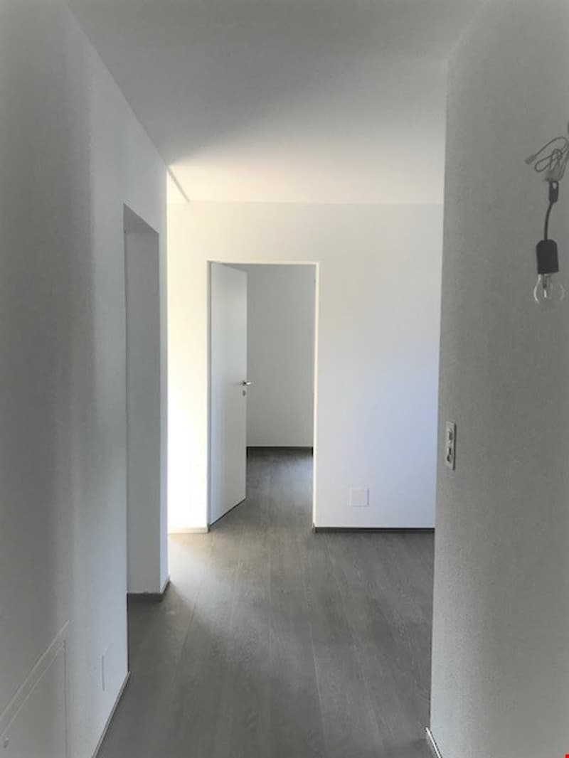 Gioiello in proprietà completamente ristrutturata (6)