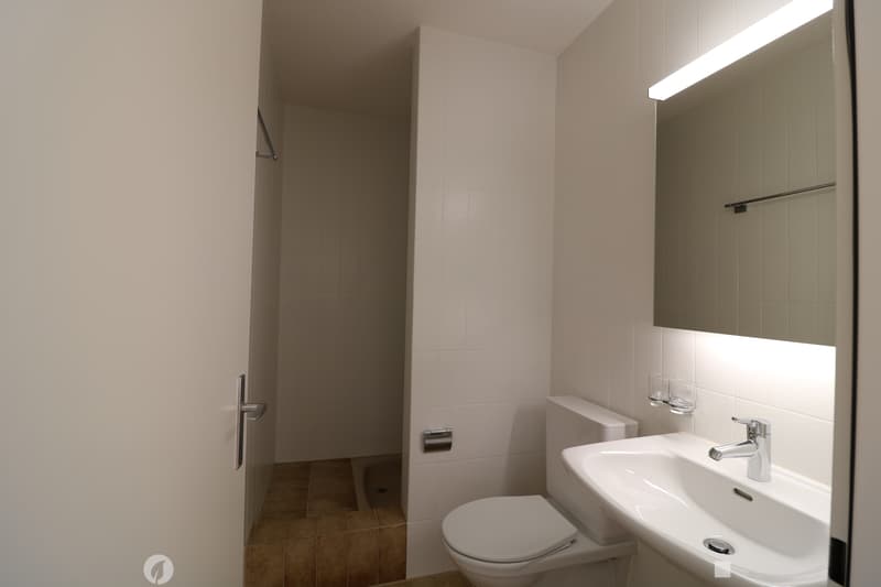2.5- Zi-Attikawohnung grosser Terrasse / App. attique de 2,5 pièce (7)