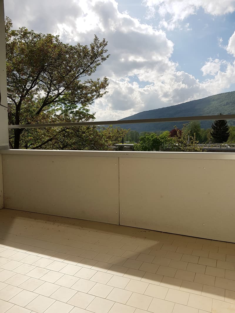 4.5-Zimmerwohnung mit Blick gegen den Jura (8)