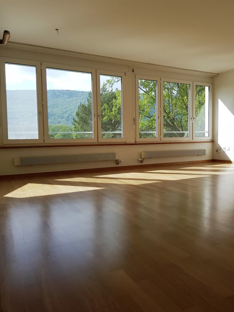 4.5-Zimmerwohnung mit Blick gegen den Jura (3)
