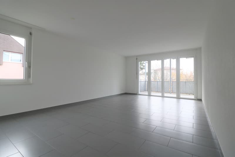 WZ