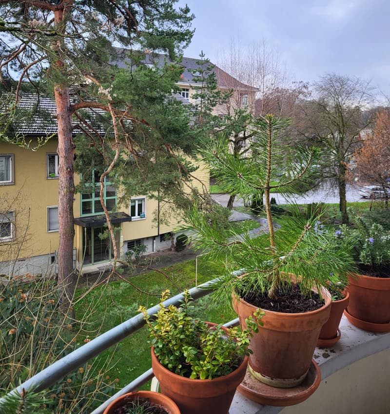 Balkon