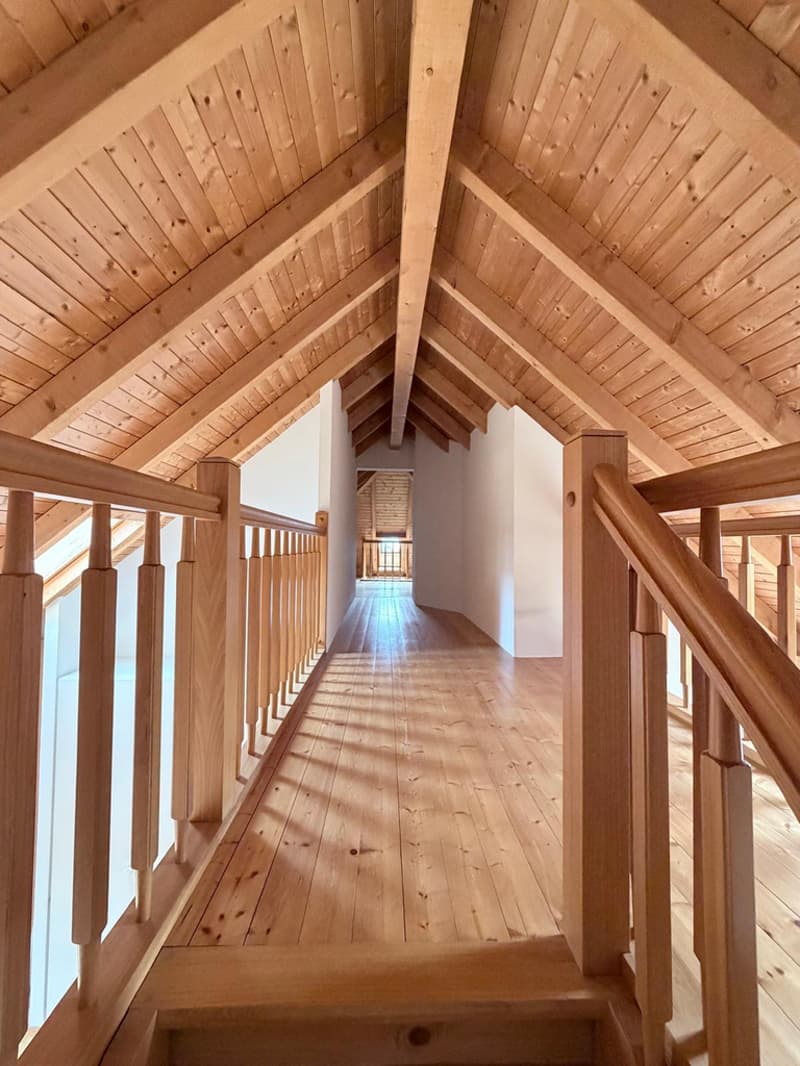 Charmant 3,5 pièces en attique avec mezzanine et terrasse (5)