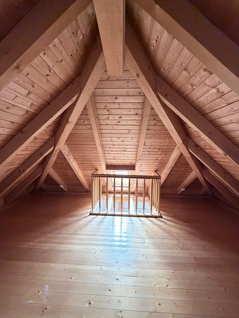 Charmant 3,5 pièces en attique avec mezzanine et terrasse (2)