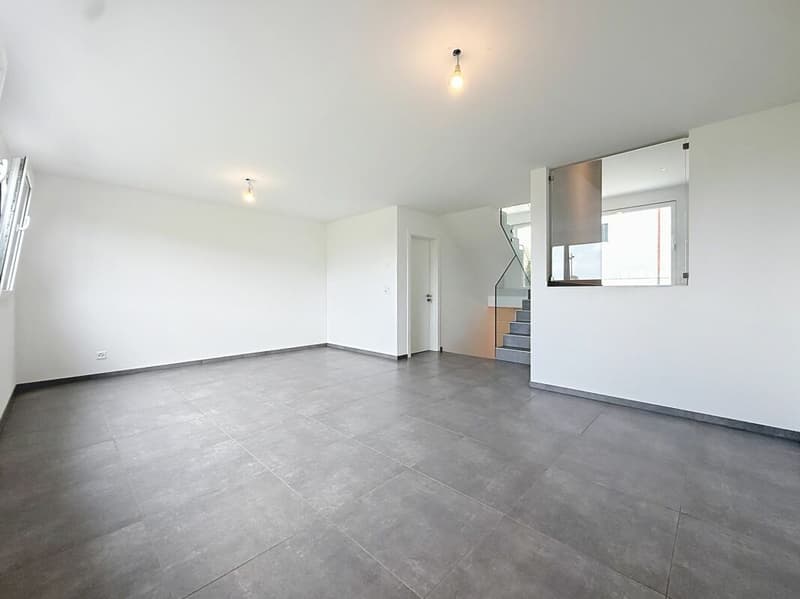 Rental Property - Fribourg (4)