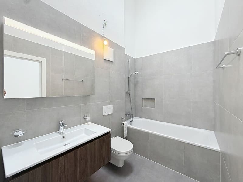 Rental Property - Fribourg (6)