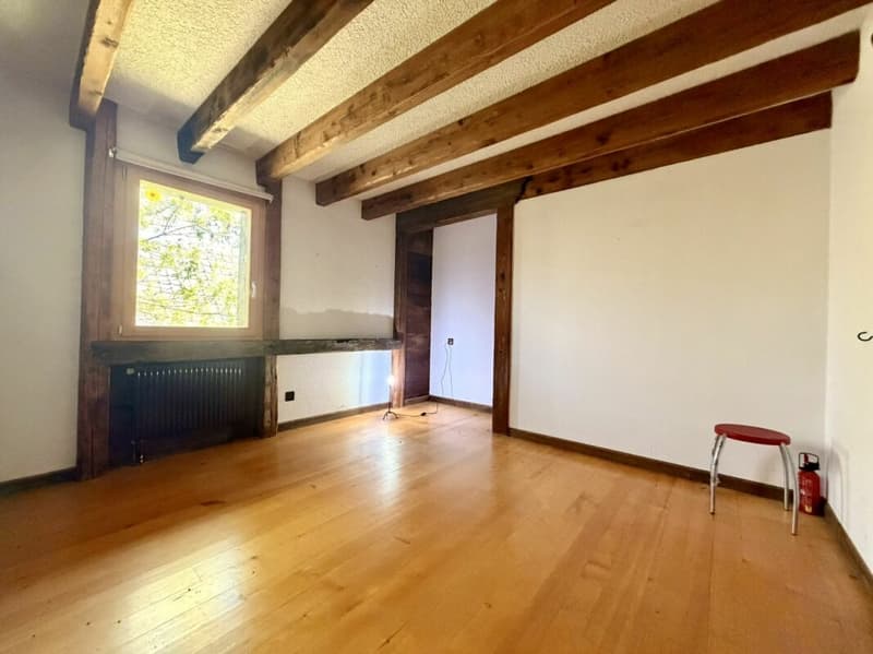 Prächtiges renoviertes Bauernhaus in einem Paradieswinkel (8)