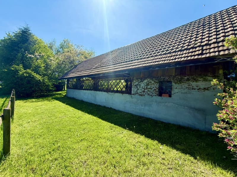 Prächtiges renoviertes Bauernhaus in einem Paradieswinkel (10)