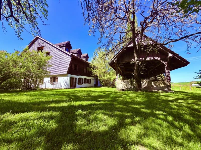 Prächtiges renoviertes Bauernhaus in einem Paradieswinkel (1)