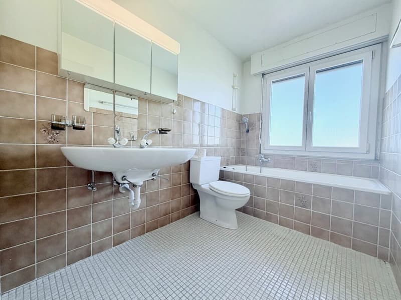 Rental apartment 4.5 rooms in attic 110m2 (8)