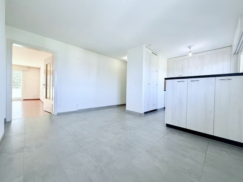 Rental apartment 4.5 rooms in attic 110m2 (2)
