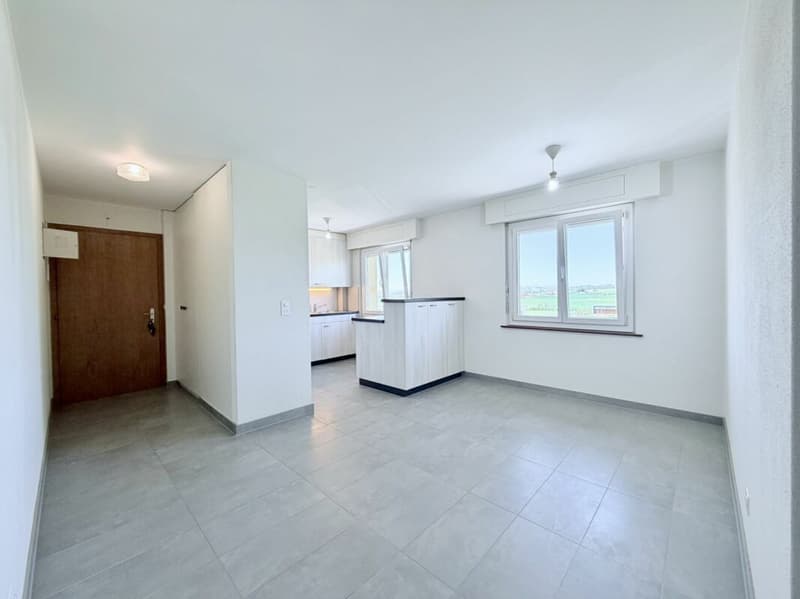 Rental apartment 4.5 rooms in attic 110m2 (1)
