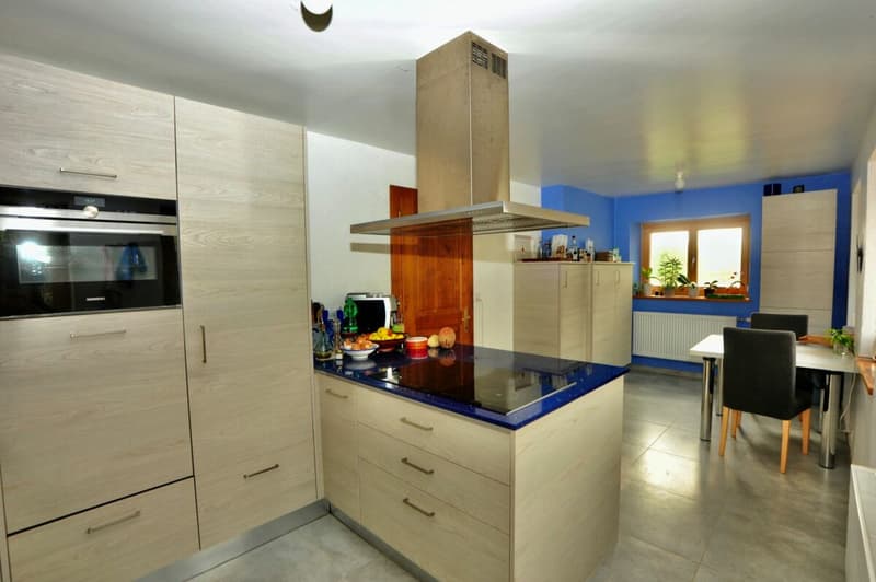 Grande Ferme rénovée avec 2 logements et four a pain (3)