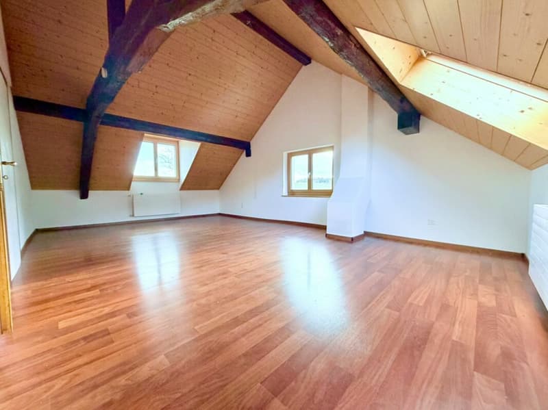 Grande Ferme rénovée avec 2 logements et four a pain (7)
