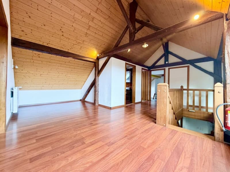 Grande Ferme rénovée avec 2 logements et four a pain (4)