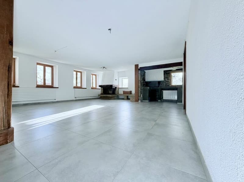 Grande Ferme rénovée avec 2 logements et four a pain (2)