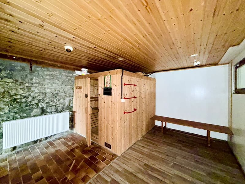 Grande Ferme rénovée avec 2 logements et four a pain (8)