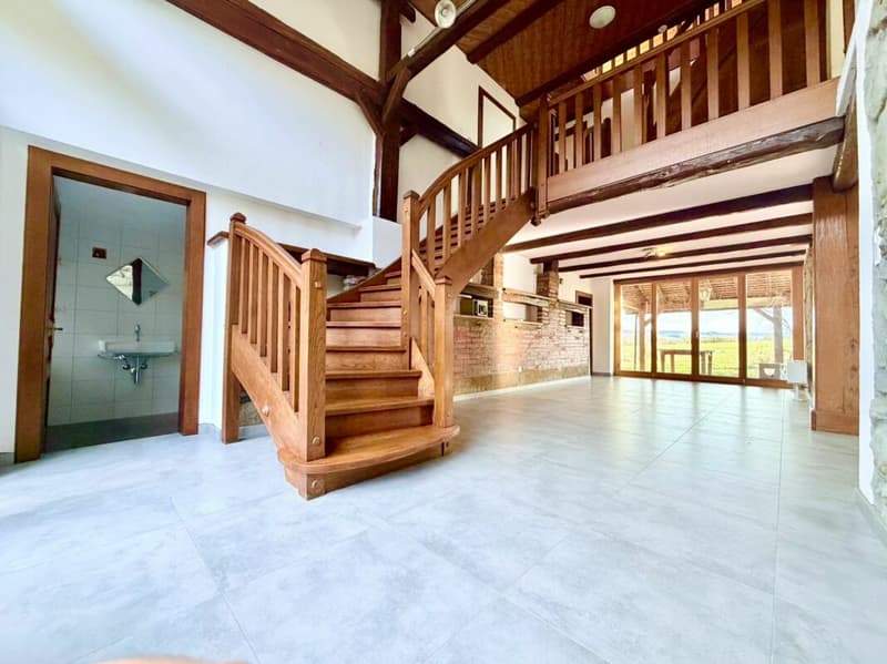 Grande Ferme rénovée avec 2 logements et four a pain (1)