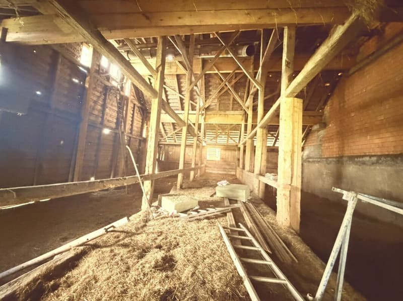 Ferme a rénover gros potentiel plusieurs appartements possibles (2)