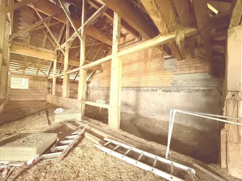 Ferme a rénover gros potentiel plusieurs appartements possibles (3)