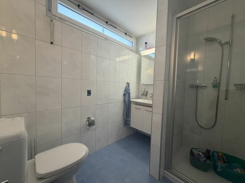 Semi-Detached Villa 5.5 rooms - Double Garage - Large Garden (7)
