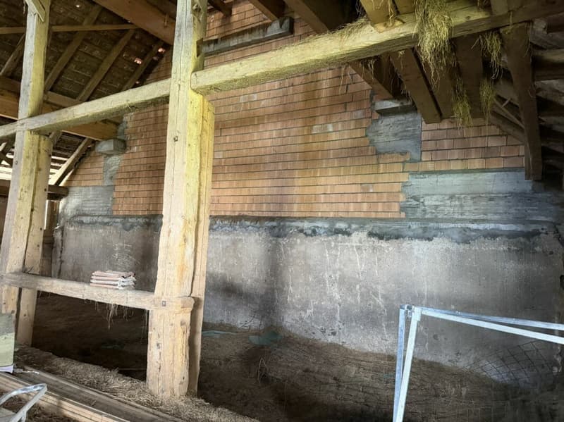 Ferme a rénover gros potentiel plusieurs appartements possibles (4)
