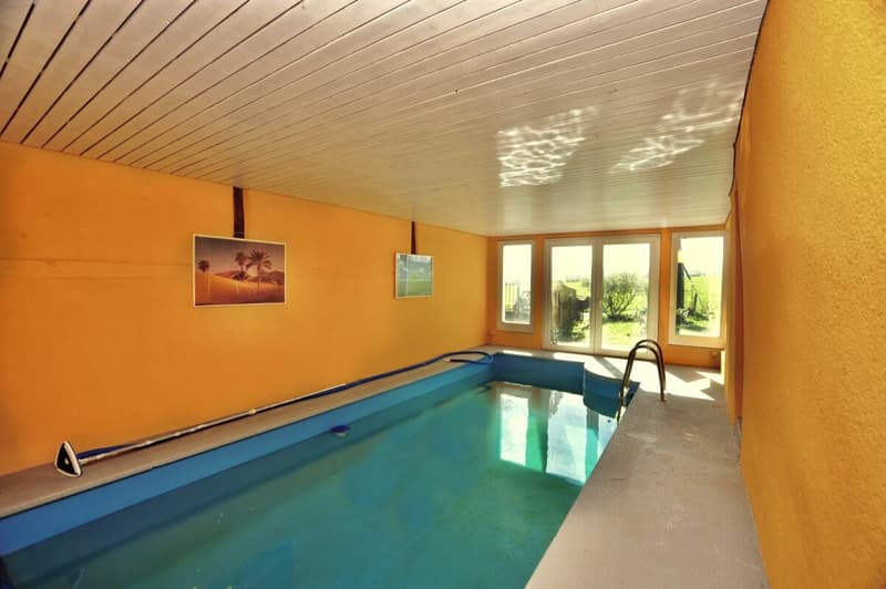Grande Ferme rénovée avec 2 logements et four a pain (1)