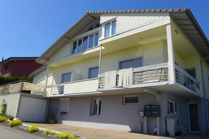 IMMEUBLE DE RENDEMENT AUX PORTES DE FRIBOURG (2)