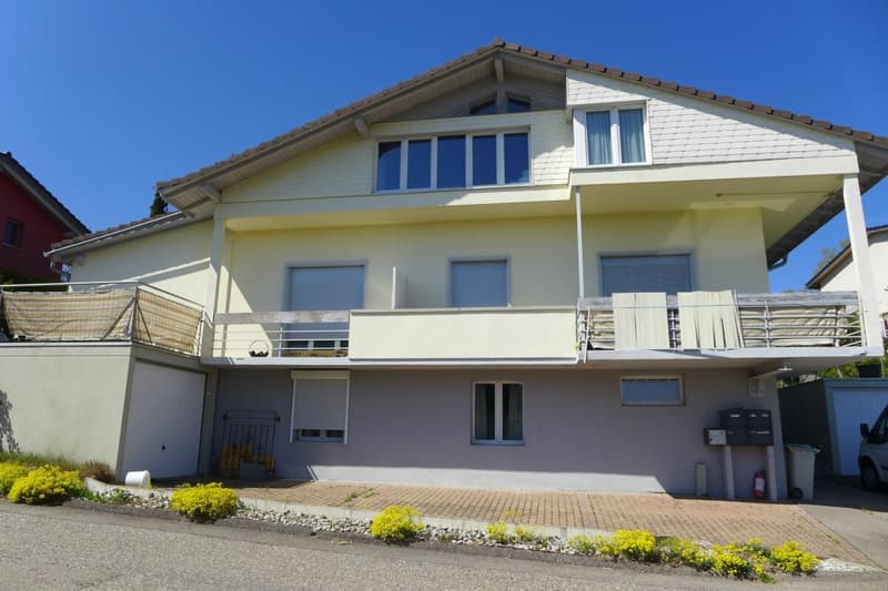 IMMEUBLE DE RENDEMENT AUX PORTES DE FRIBOURG (1)