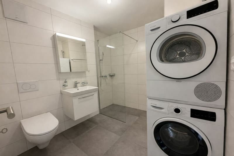 Premier loyer offert ! Duplex 3,5 pièces à Siselen (9)