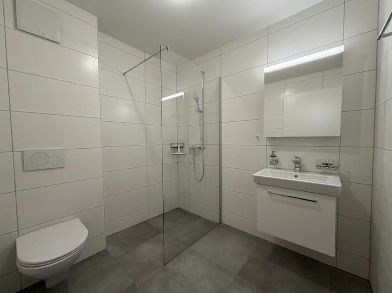 Premier loyer offert ! Appartement 2,5 pièces au 1er étage à Siselen (8)