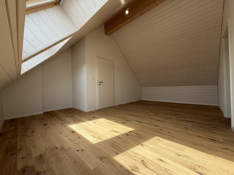 Premier loyer offert ! Duplex 3,5 pièces à Siselen (8)