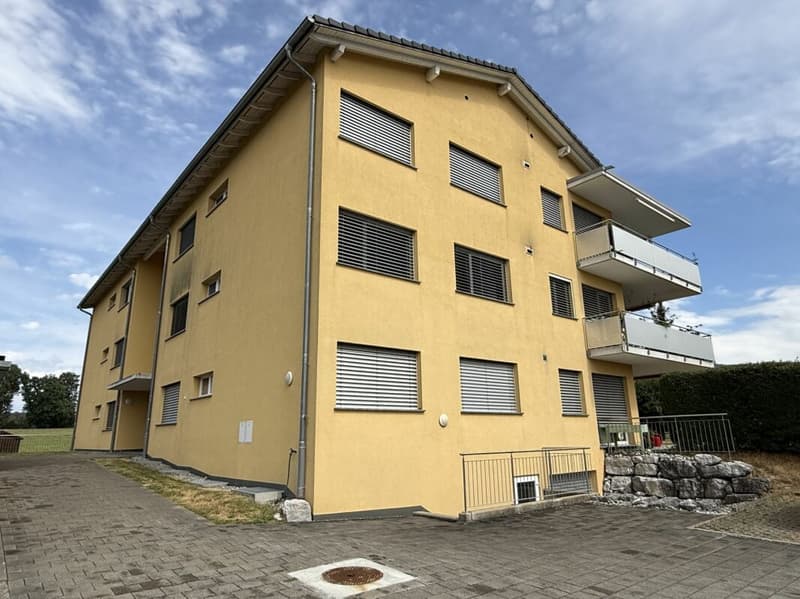 Local dépot de 45 m2 à Rossens (5)
