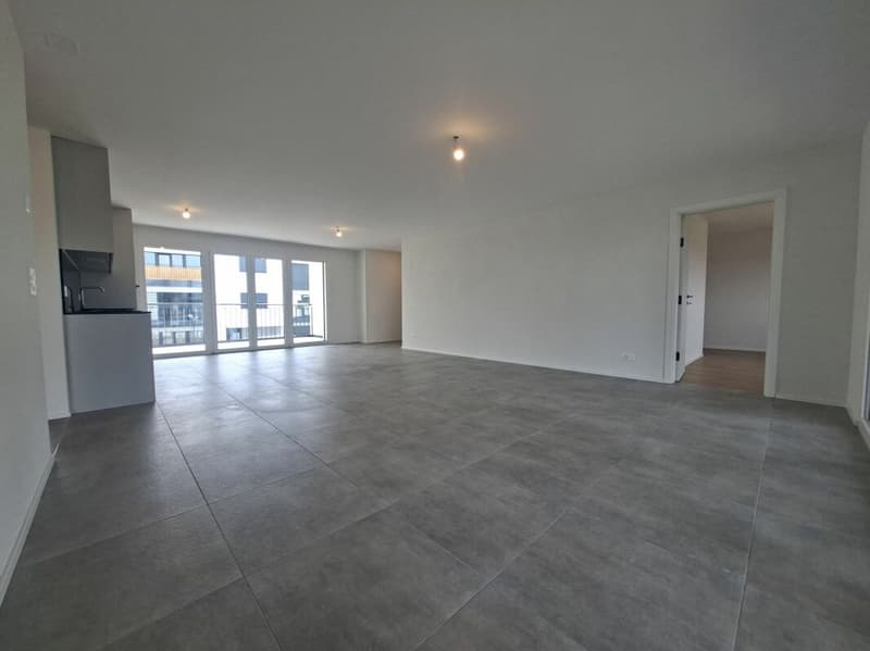 Appartement neuf de 4.5 pièces au Rez-de-chaussée à Farvagny (3)