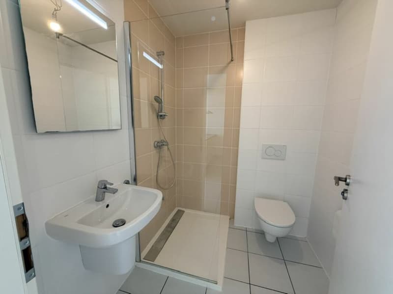 Appartement de 4.5 pièces au Rez à Villars-Burquin (7)