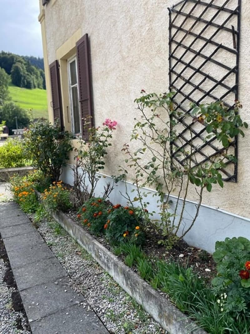 2123 St-Sulpice Sale of an old village house to renovate with large land (9)