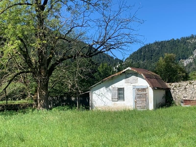 2123 St-Sulpice Sale of an old village house to renovate with large land (7)
