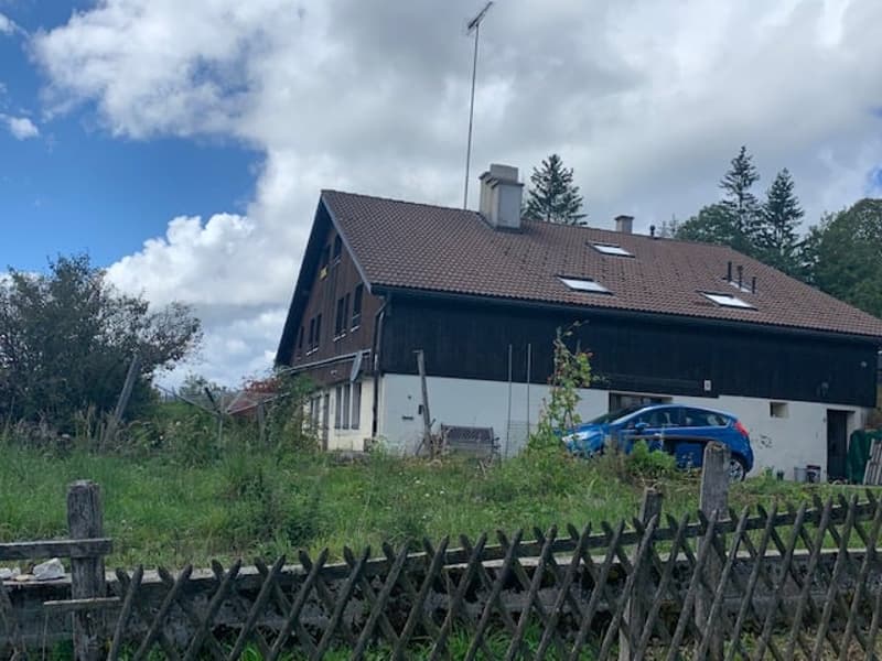 brown roof, blue car parked, wooden fence, chimney, trees
