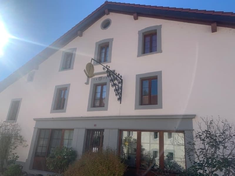 Sale of a renovated old rental house, 10 apartments, parking, large plot (2)
