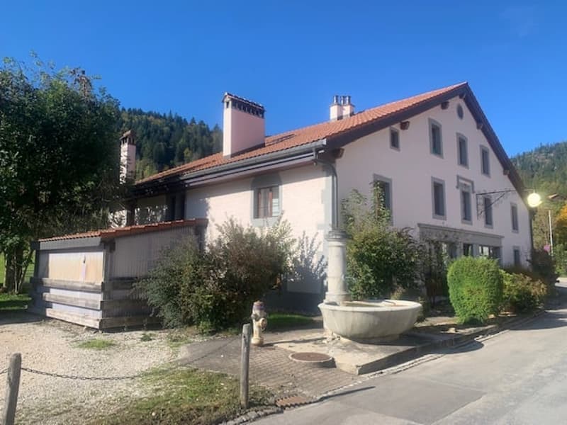 Sale of a renovated old rental house, 10 apartments, parking, large plot (1)