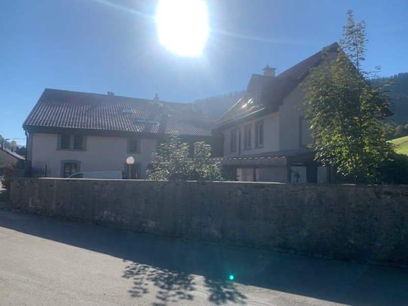 Sale of a renovated old rental house, 10 apartments, parking, large plot (5)