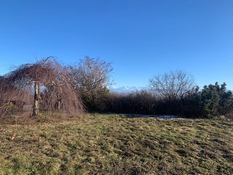 2073 Enges/NE Geräumige und prächtige Villa mit 3 Garagen und Blick auf die 3 Seen (5)